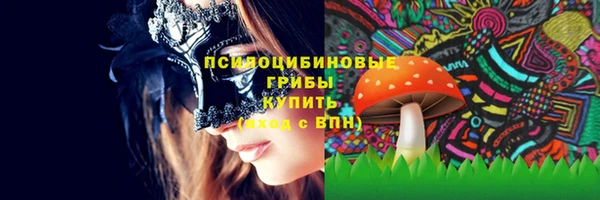прущие крисы Сосновый Бор