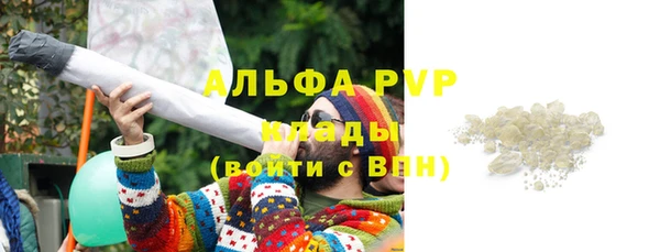 СК Аркадак