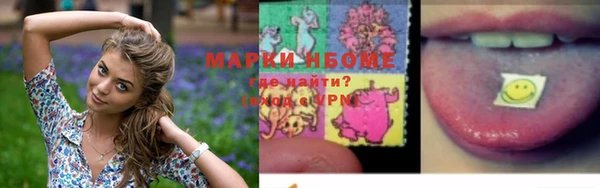 метадон Снежногорск
