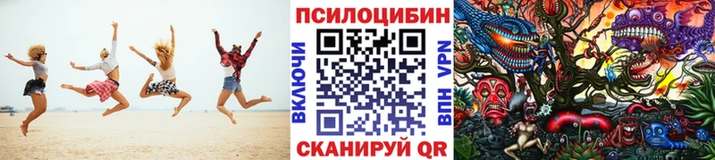 Псилоцибиновые грибы MAGIC MUSHROOMS  закладки  Усть-Илимск 